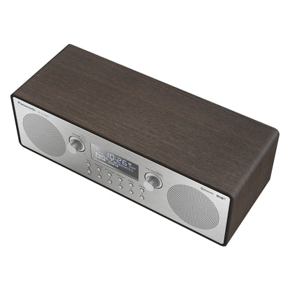 Panasonic RF-D100BTEGT brown