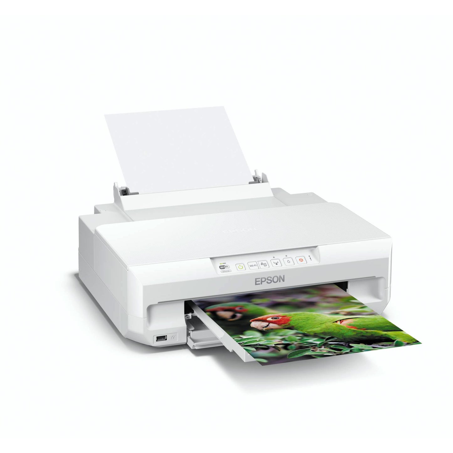 Epson Expression Photo XP-55