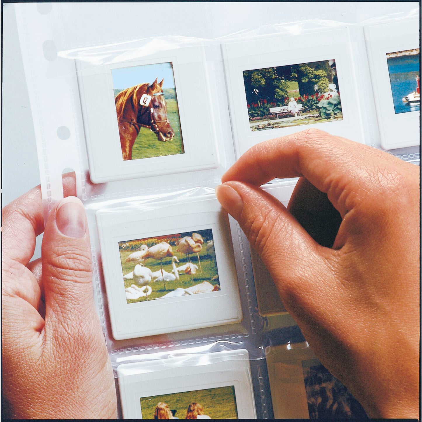 Herma Slide pockets 5x5 10 sheets clear 7701