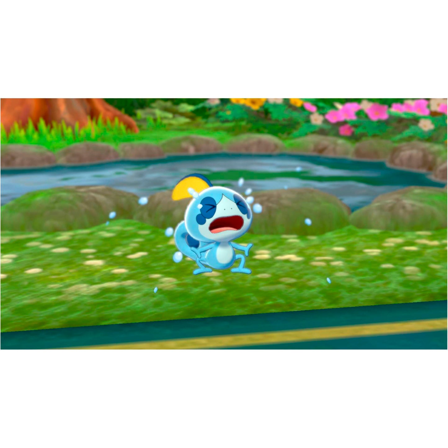 Nintendo Switch Pokemon Sword