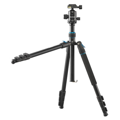 Cullmann Rondo 460M RB8.5