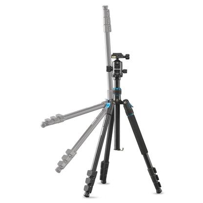 Cullmann Rondo 460M RB8.5