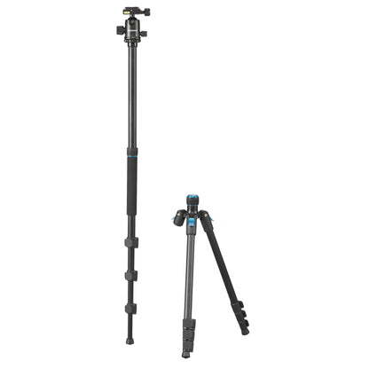 Cullmann Rondo 460M RB8.5