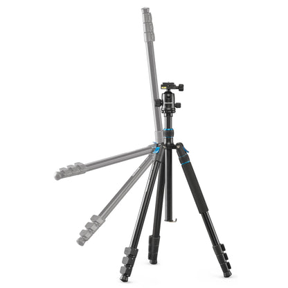 Cullmann Rondo 480M RB8.5