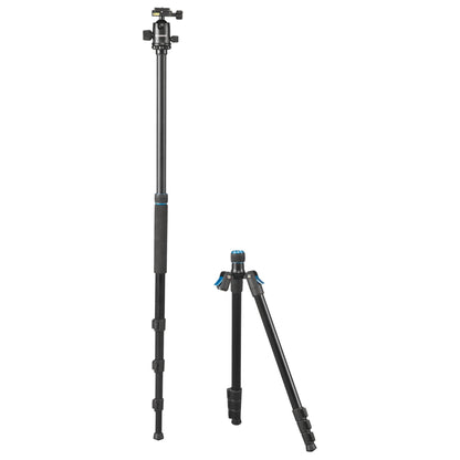 Cullmann Rondo 480M RB8.5