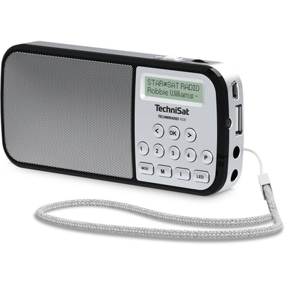 Technisat TechniRadio RDR silver