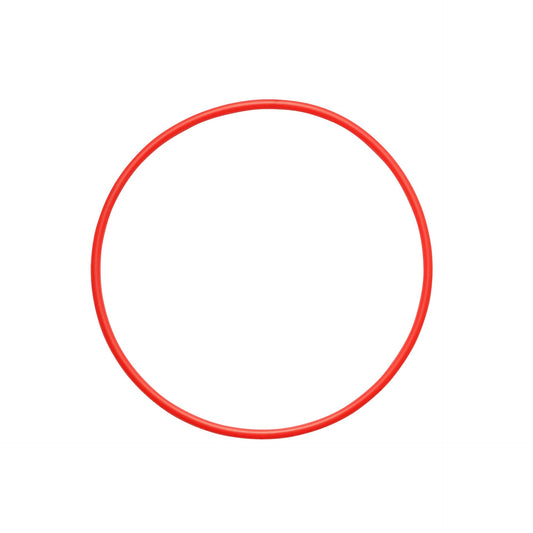 Olympus POL-050 O-Ring