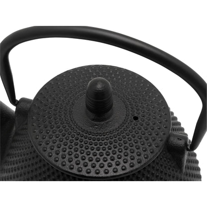Bredemeijer Teapot Wuhan 1,0l cast iron black + Filter 153005