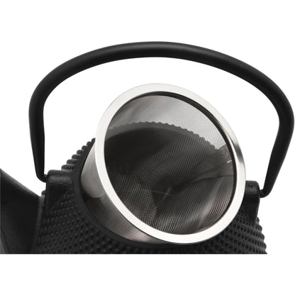 Bredemeijer Teapot Wuhan 1,0l cast iron black + Filter 153005