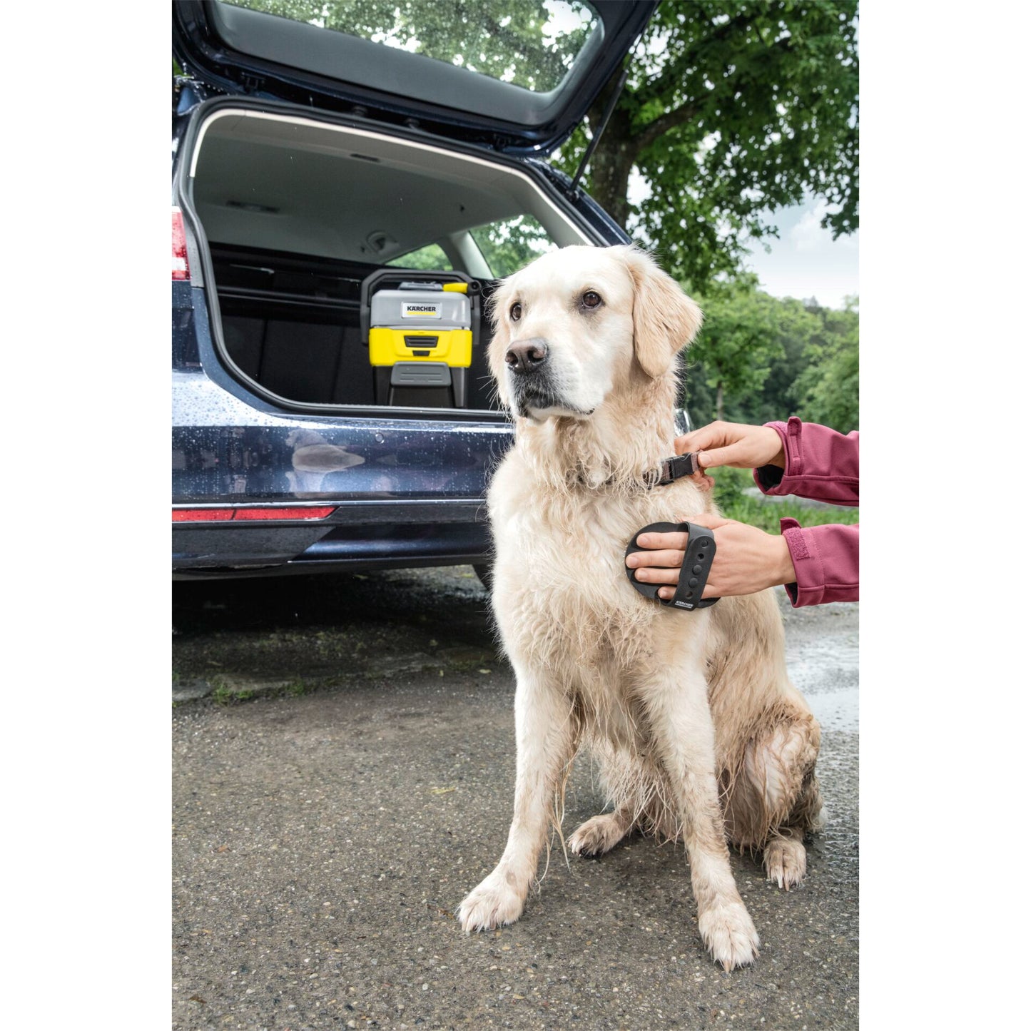 Kärcher OC 3 Pet Box Mobile Outdoor Cleaner