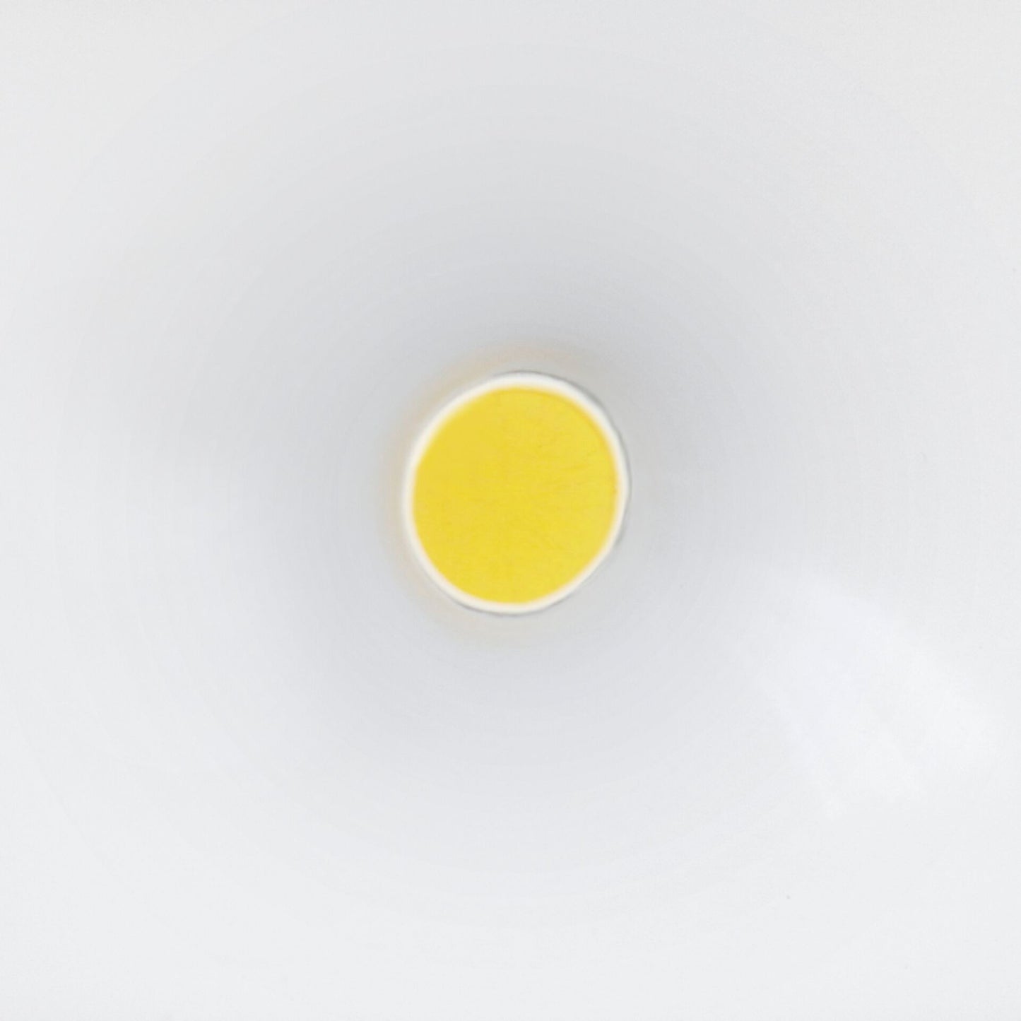 Steinel LS 150 LED WS LED spotlight