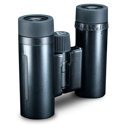 Vanguard Vesta 10x21 black pearl