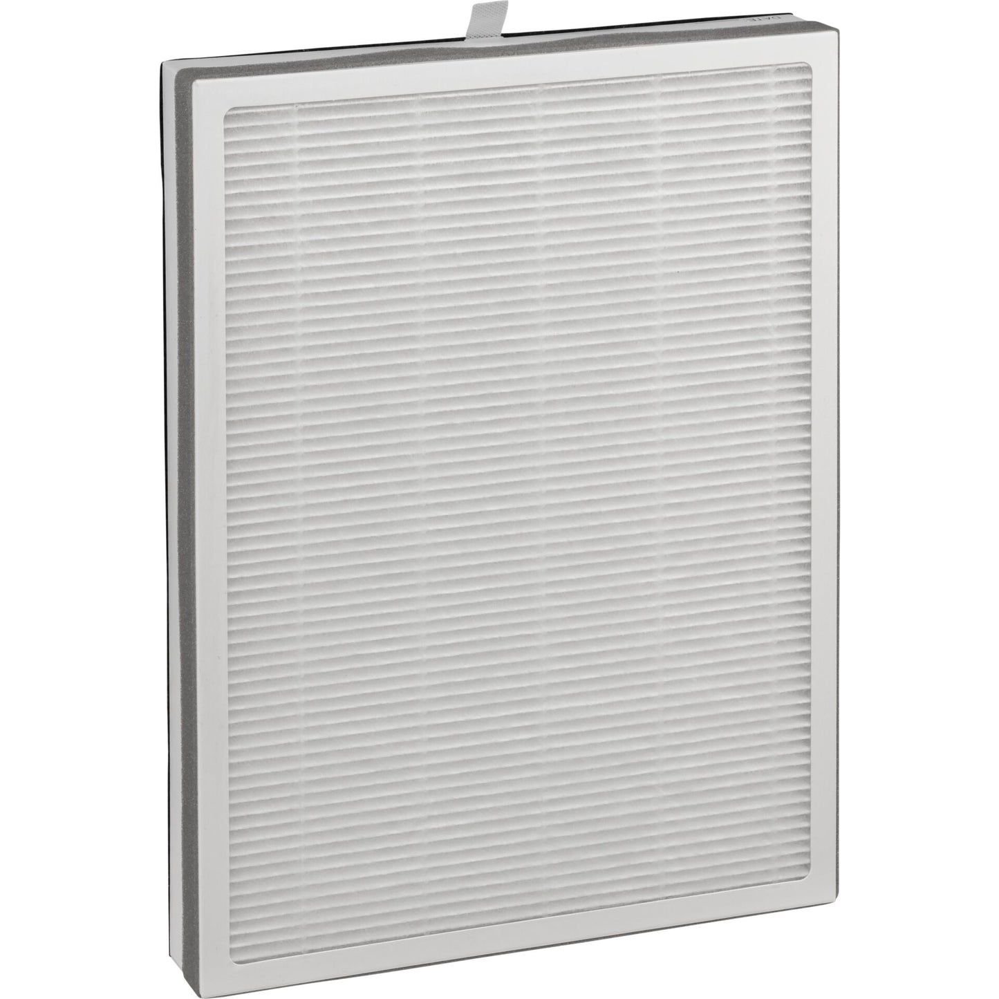Beurer LR 500 Replacement Filter