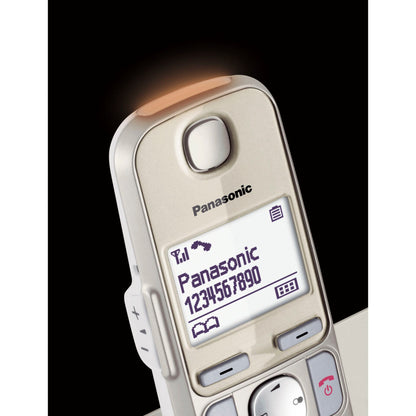 Panasonic KX-TGE250GN champagne