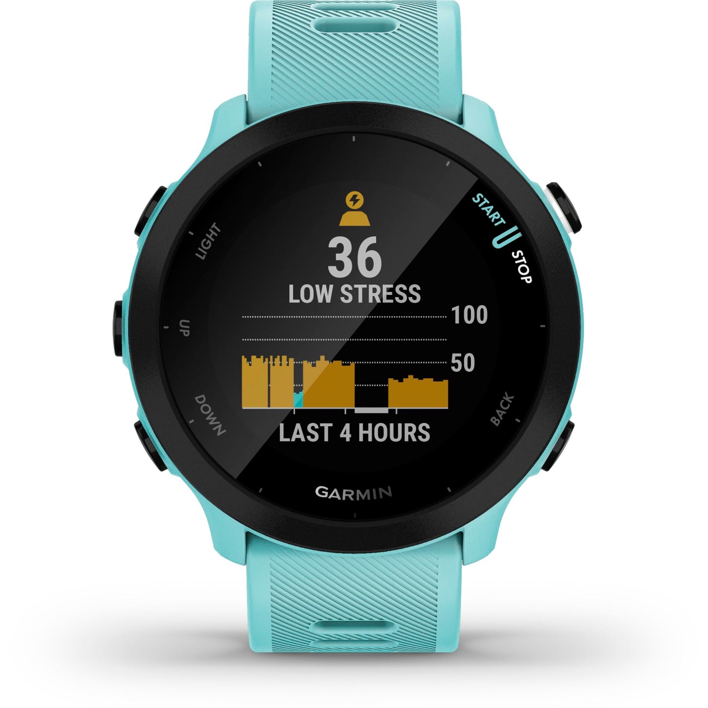 Garmin Forerunner 55 turquoise