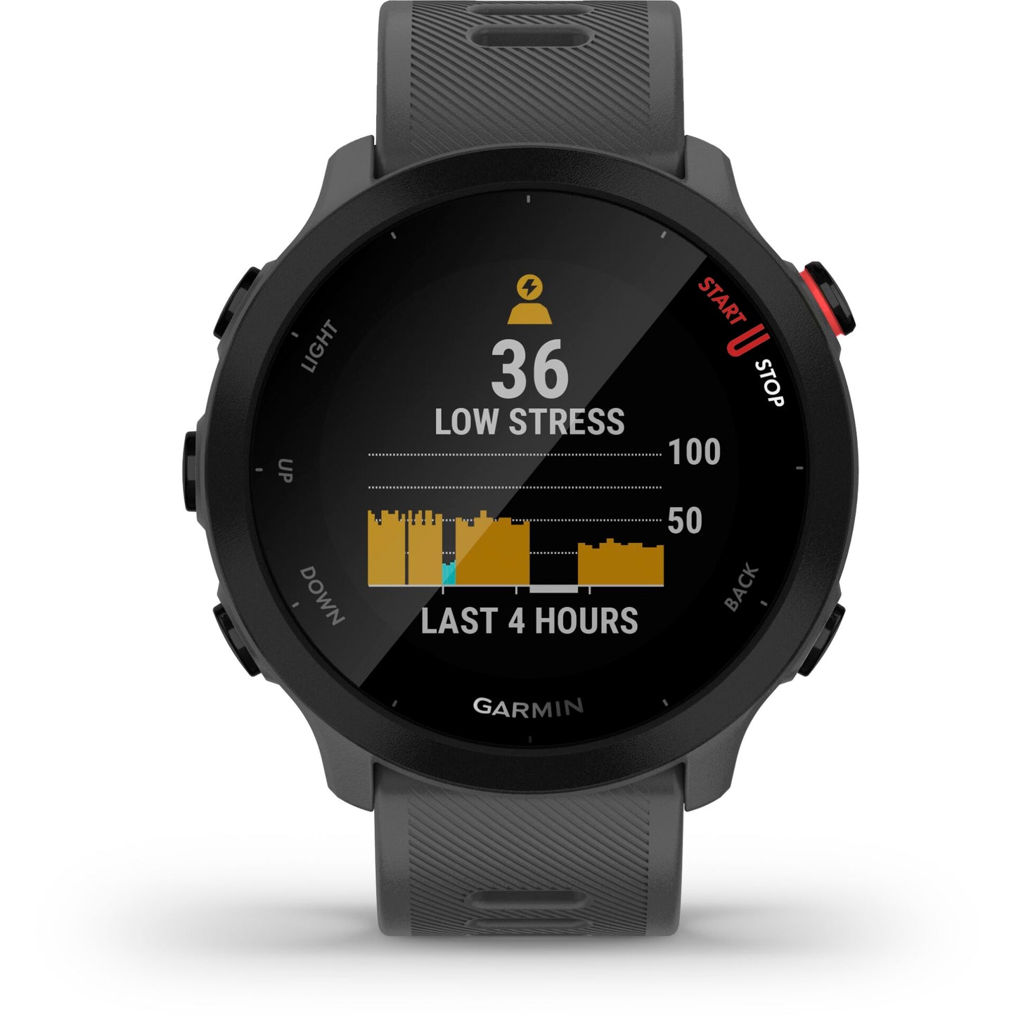 Garmin Forerunner 55 grey