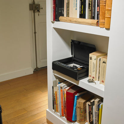 Master Lock Small Safe MLD08EB biometric lock