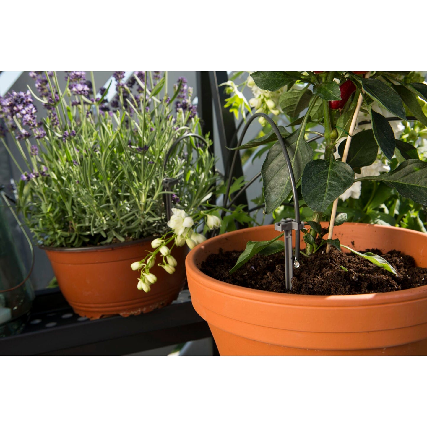 Gardena Holiday Watering Set