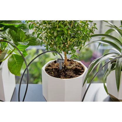 Gardena Holiday Watering Set with Water Container