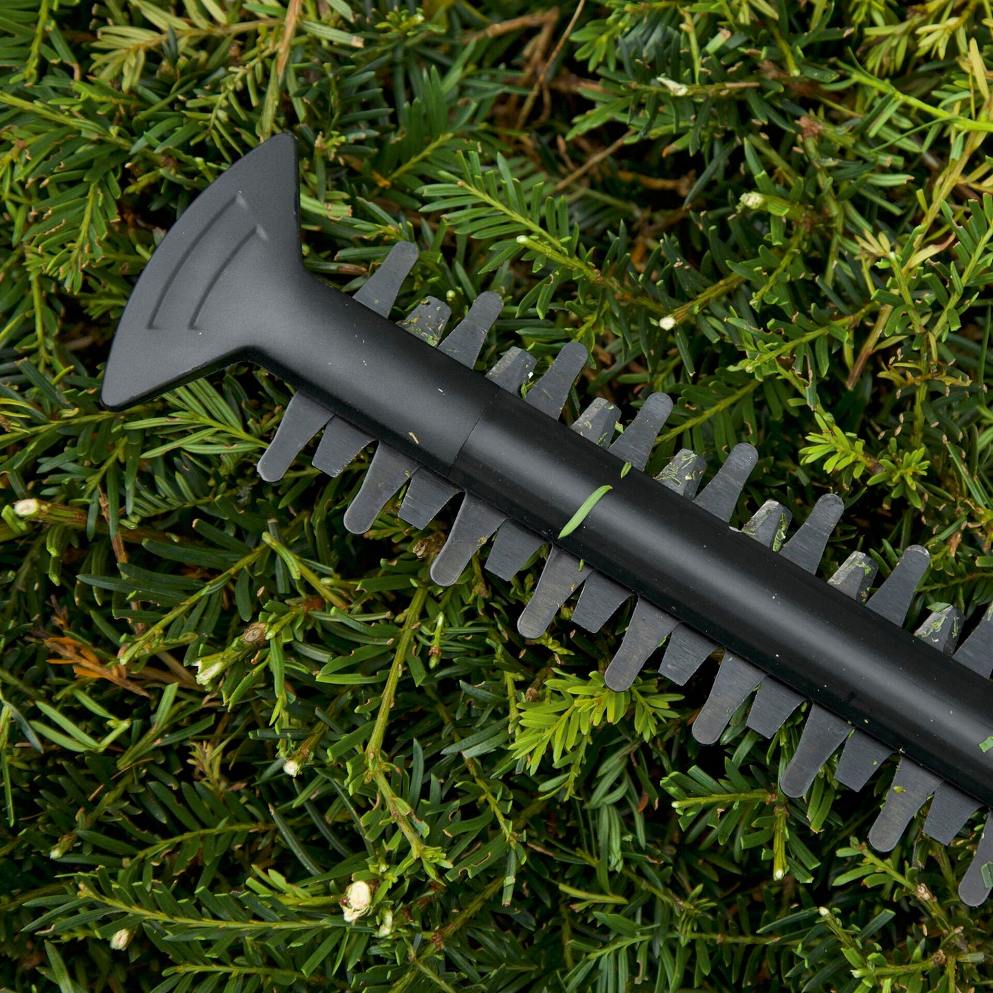 Bosch EasyHedgeCut 18-45 solo Cordless Hedgecutter