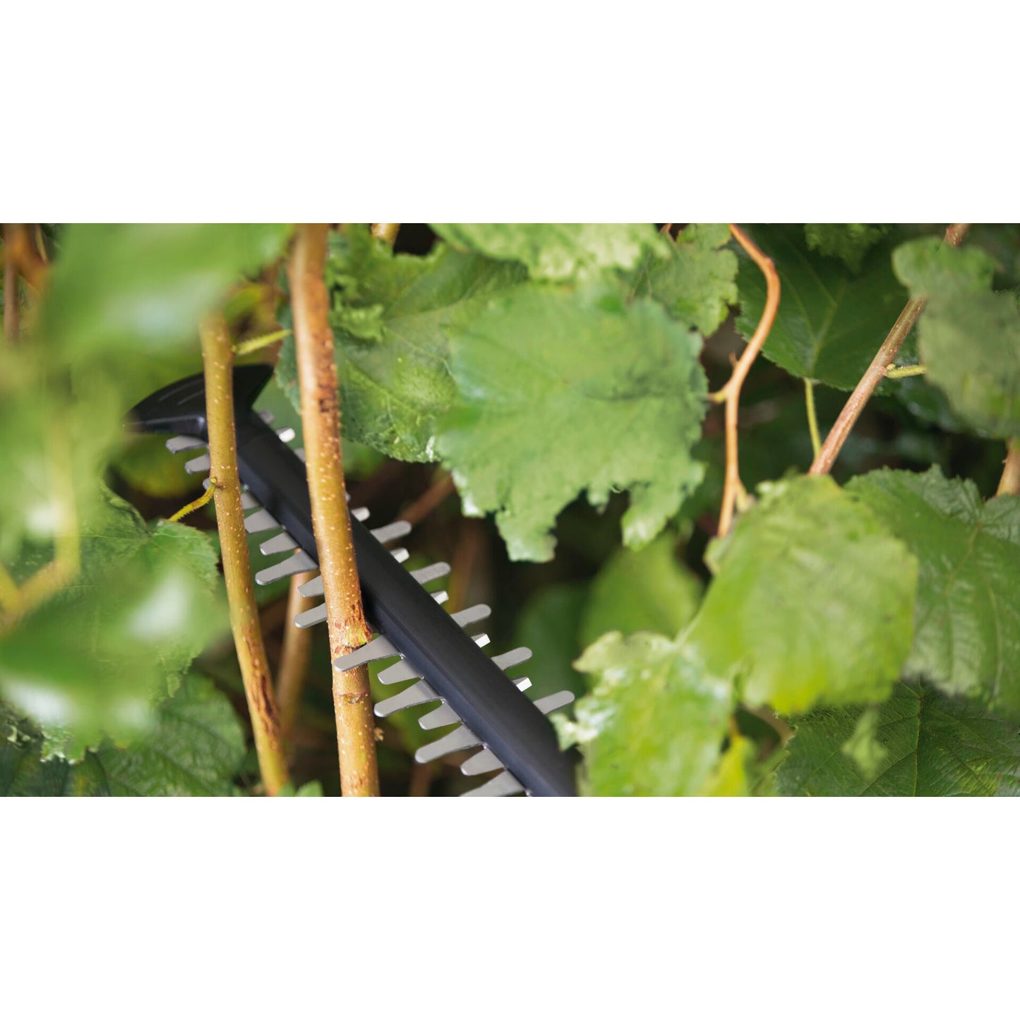 Bosch UniversalHedgeCut 18-50 Cordless Hedgecutter