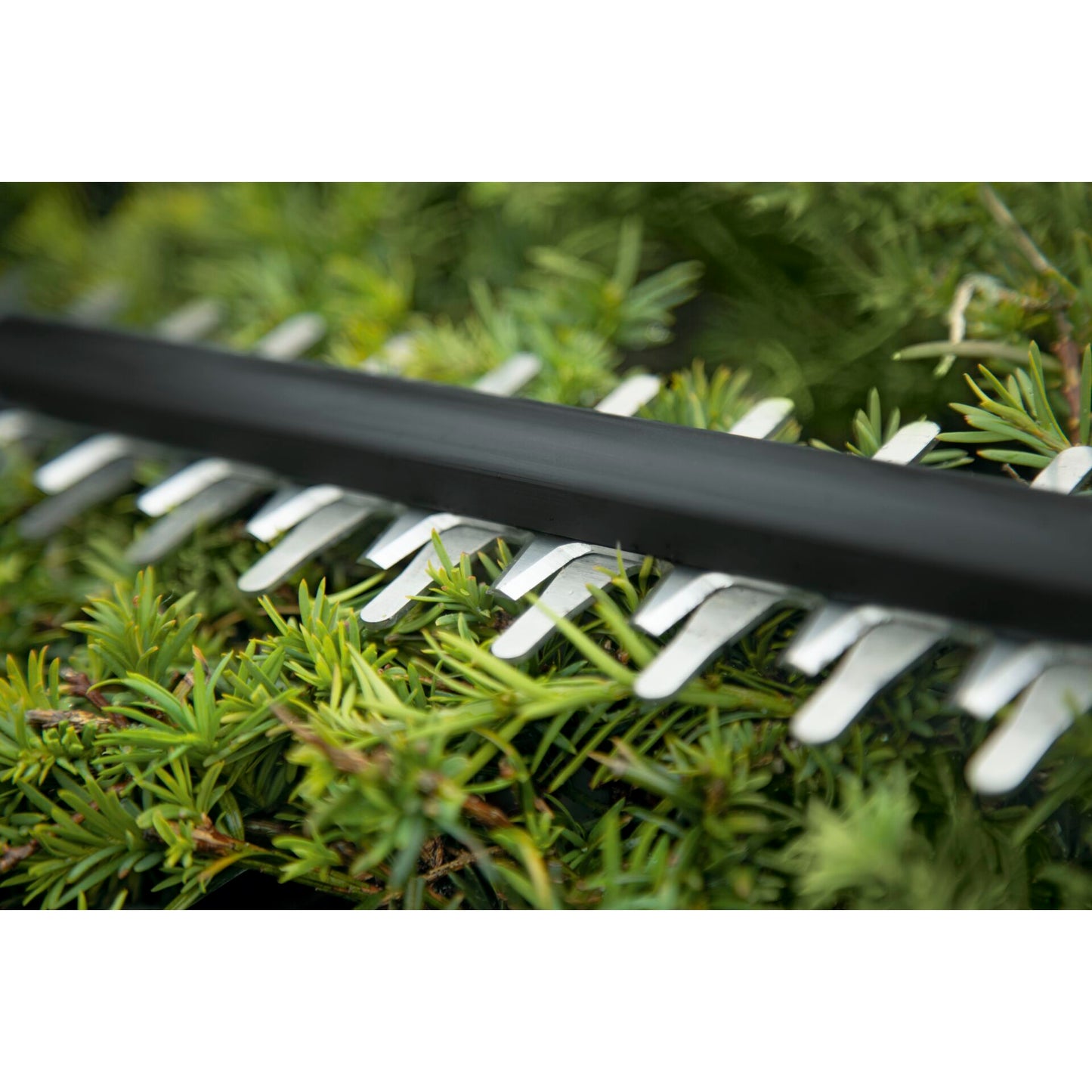 Bosch UniversalHedgeCut 18-50 Cordless Hedgecutter