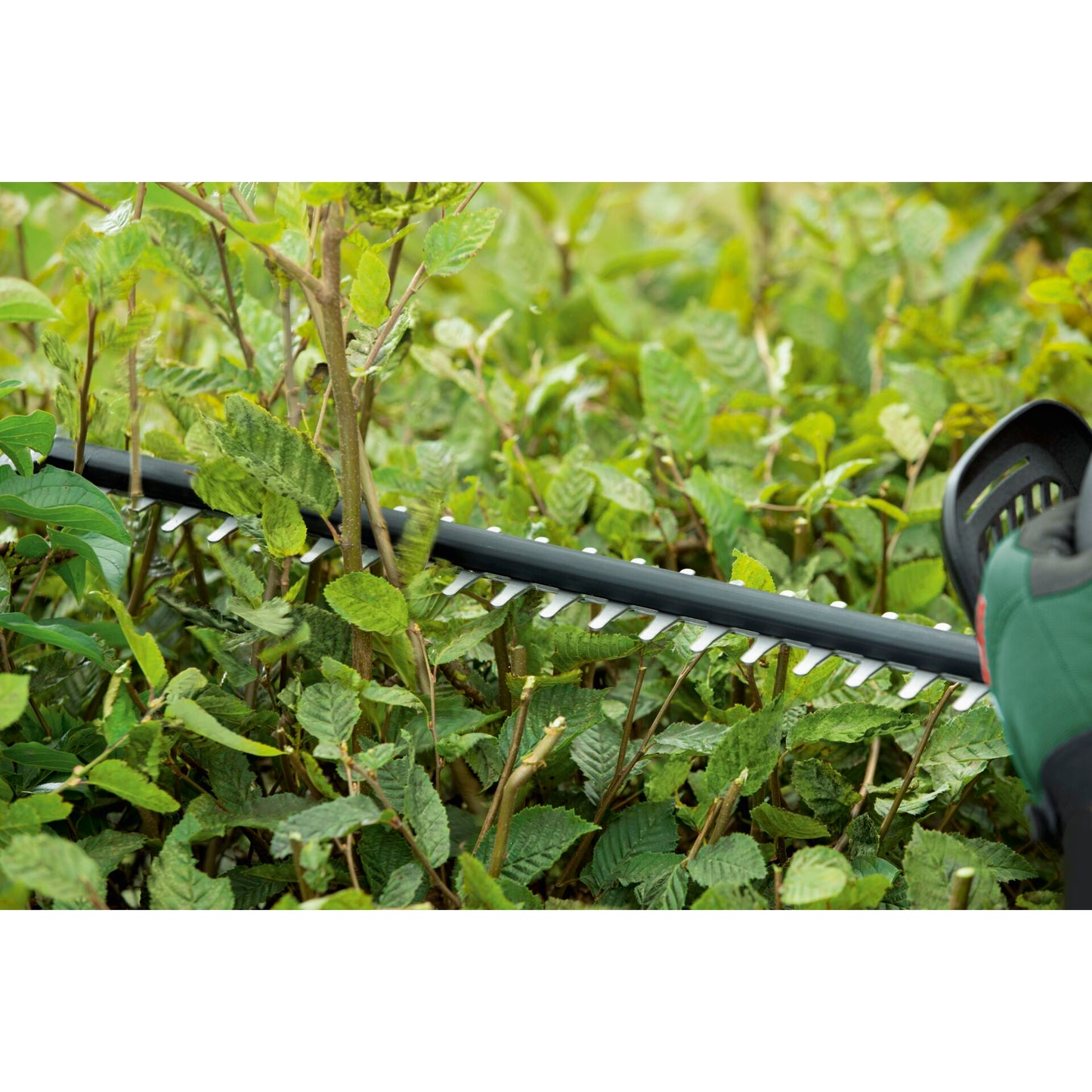 Bosch UniversalHedgeCut 18-50 solo Cordless Hedgecutter