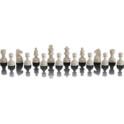 Millennium Europe Chess Champion