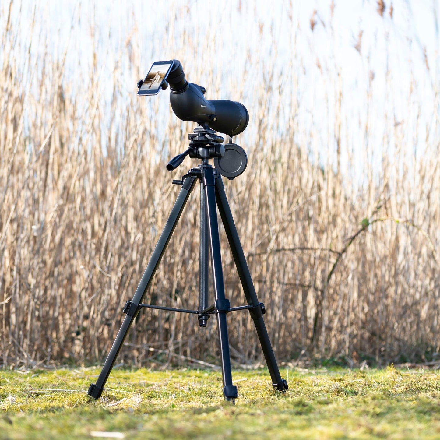 Bresser Spolux 20-60x80