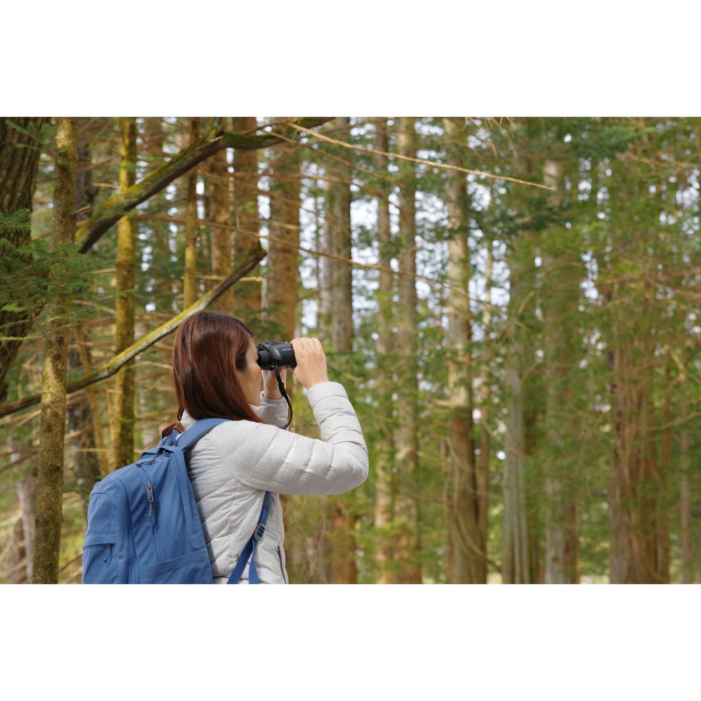 Pentax Jupiter  8x40