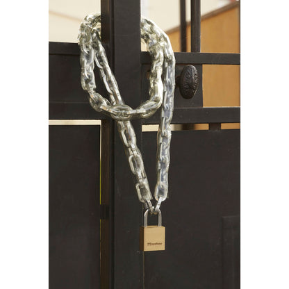 Master Lock Padlock brass 575EURD