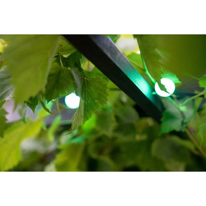 LBM 10m Smart Outdoor Light Chain - 50 x Globe 3cm