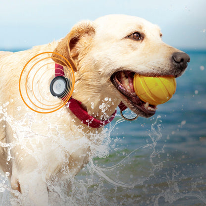 Catalyst AirTag Wasserdichtes Clip-It Case Stealth Black