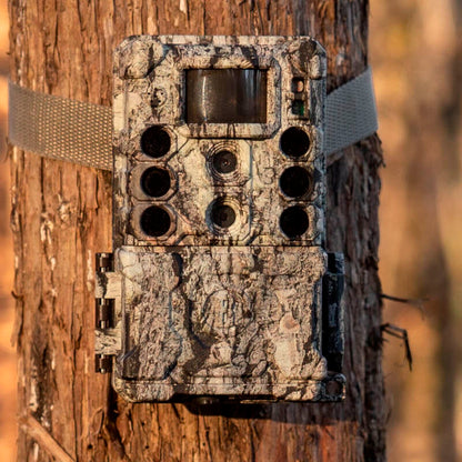 Bushnell Wildkamera 32MP Core DS 4K camo