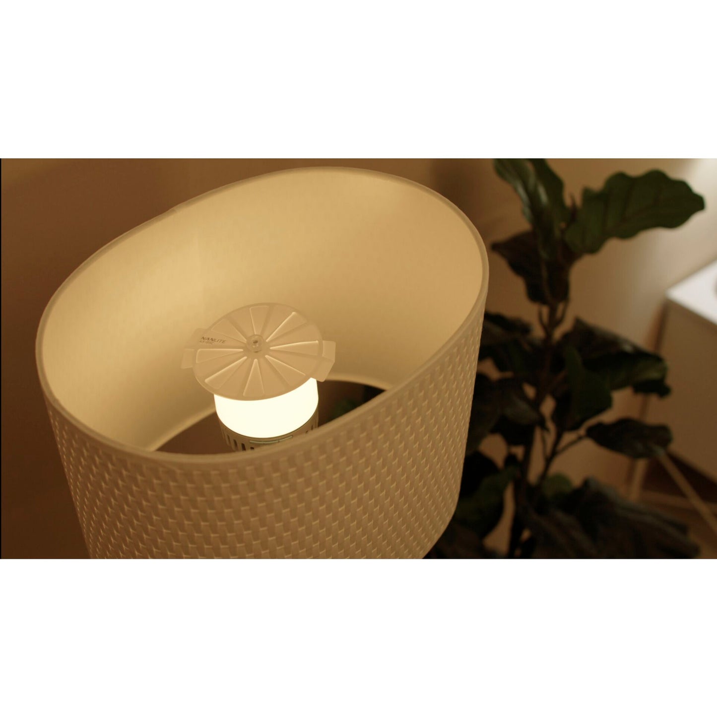 Nanlite PavoBulb 10C 1Kit