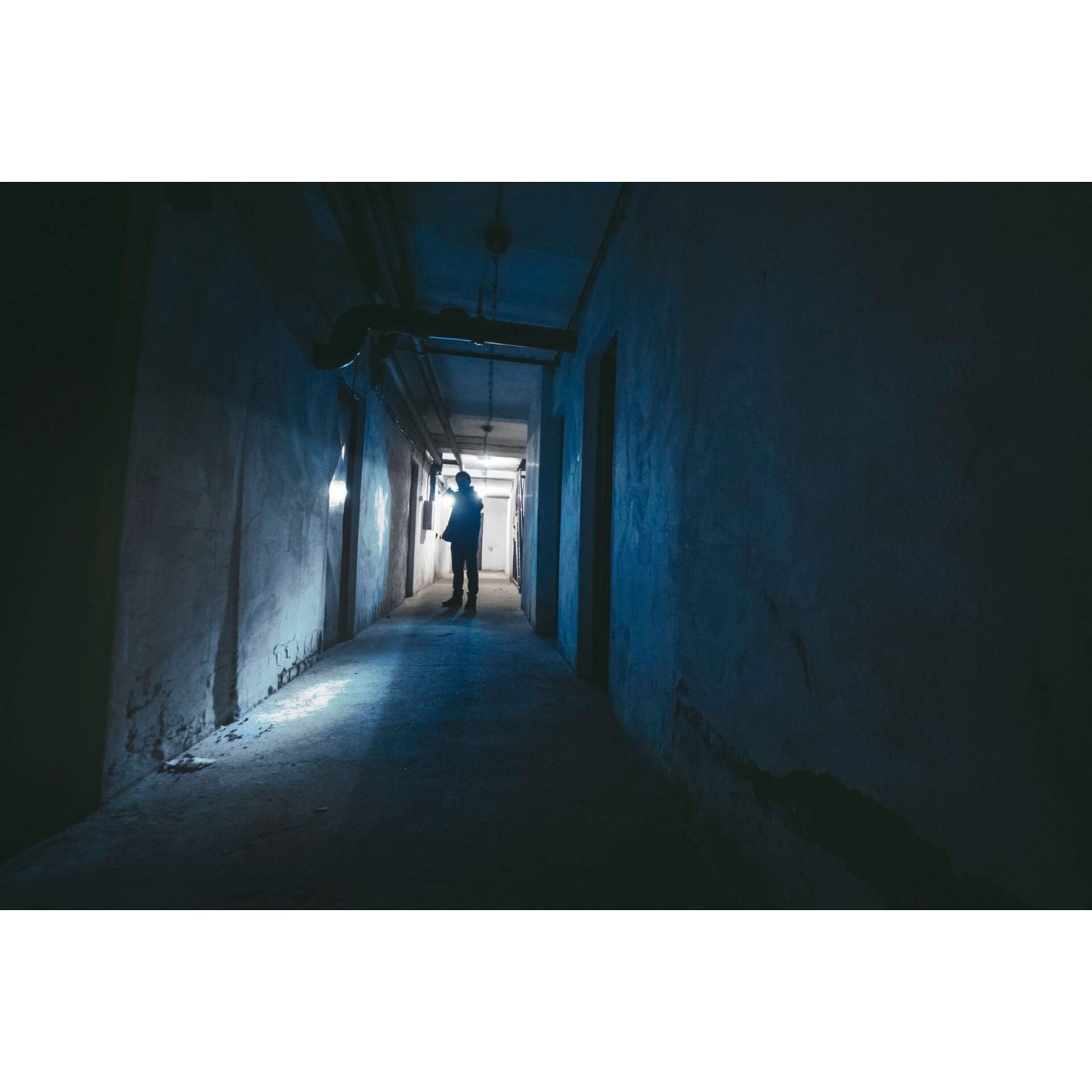 Ansmann LED Torch Daily Use 270B incl. 3xAAA 1600-0429