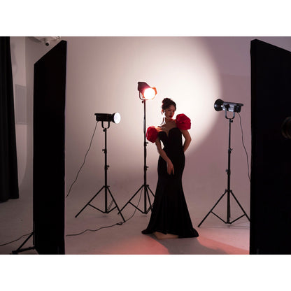 Nanlite FS-300B Bi-Color Studio Spotlight