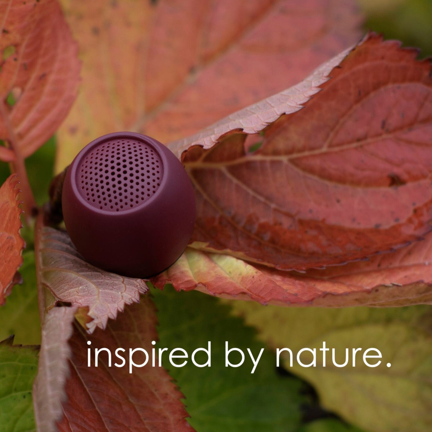 Boompods Zero Burgundy