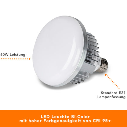 walimex pro LED 60W Octagon Ø65cm   Bi color