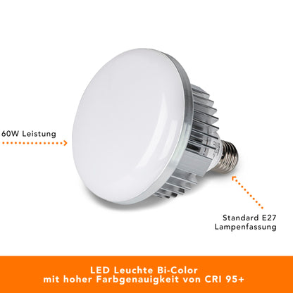 walimex pro LED 60W Octagon Ø65cm   Bi color Kit 2