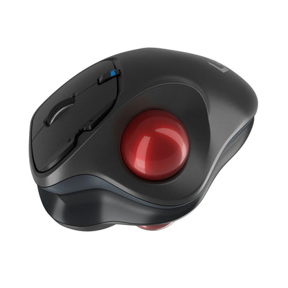 KeySonic KSM-6101RF-EGT Ergonomic Trackball Mouse