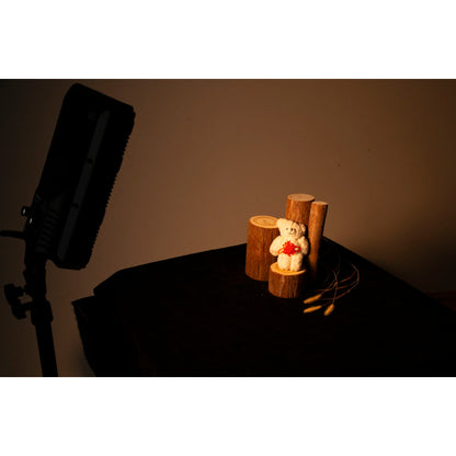 Kaiser PL24 Vario 2Kit Desktop Lighting Kit