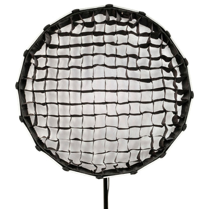 Nanlite Forza 60B II Bi-Color