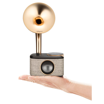 Sangean CP-100D DAB+/FM/BT black/gold