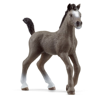 Schleich Horse Club        13957 Cheval de Selle Francais Foal