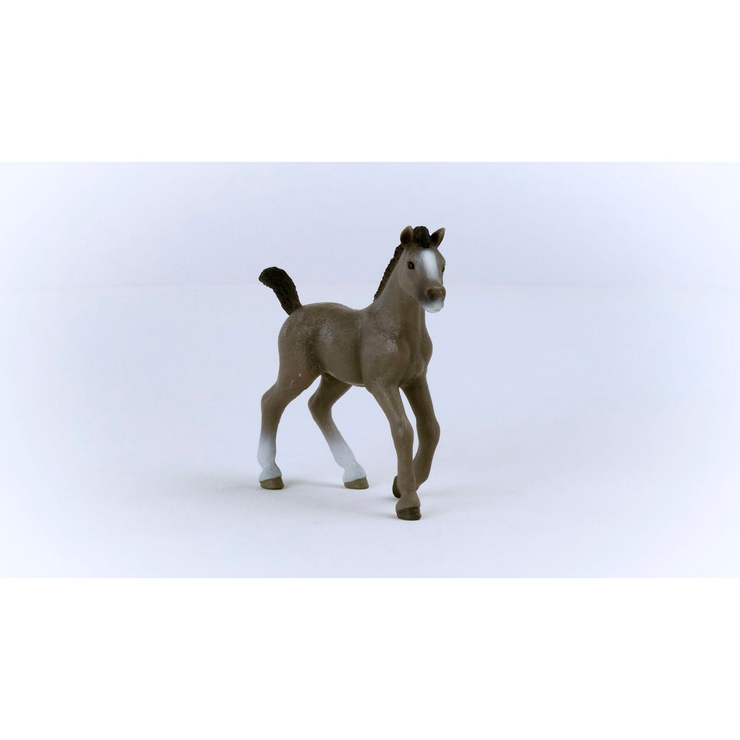 Schleich Horse Club        13957 Cheval de Selle Francais Foal