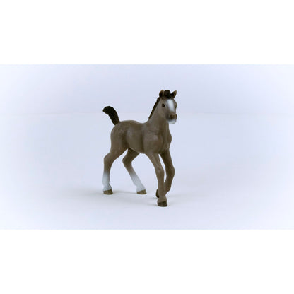 Schleich Horse Club        13957 Cheval de Selle Francais Foal