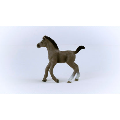 Schleich Horse Club        13957 Cheval de Selle Francais Foal