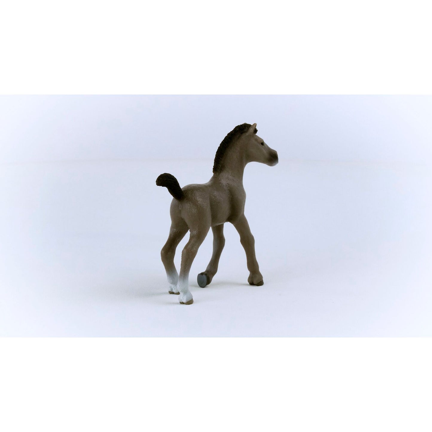 Schleich Horse Club        13957 Cheval de Selle Francais Foal