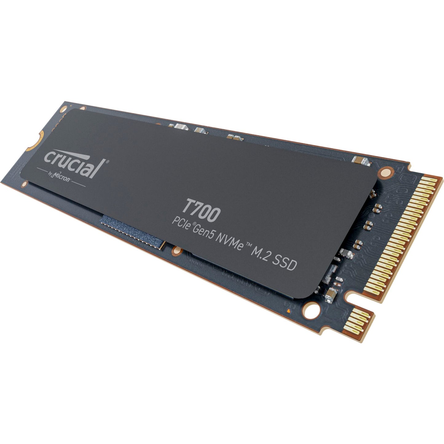 Crucial T700                 2TB PCIe Gen5 NVMe M.2 SSD